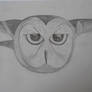 Owl4