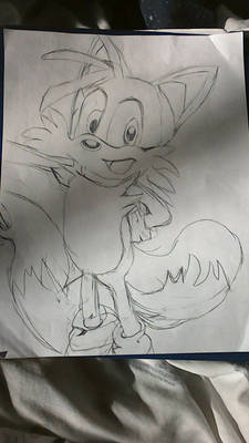 tails final sketch