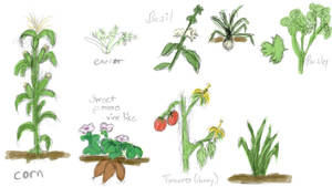 Plant studies WIP2