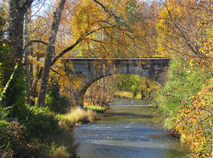 Autumn at Home