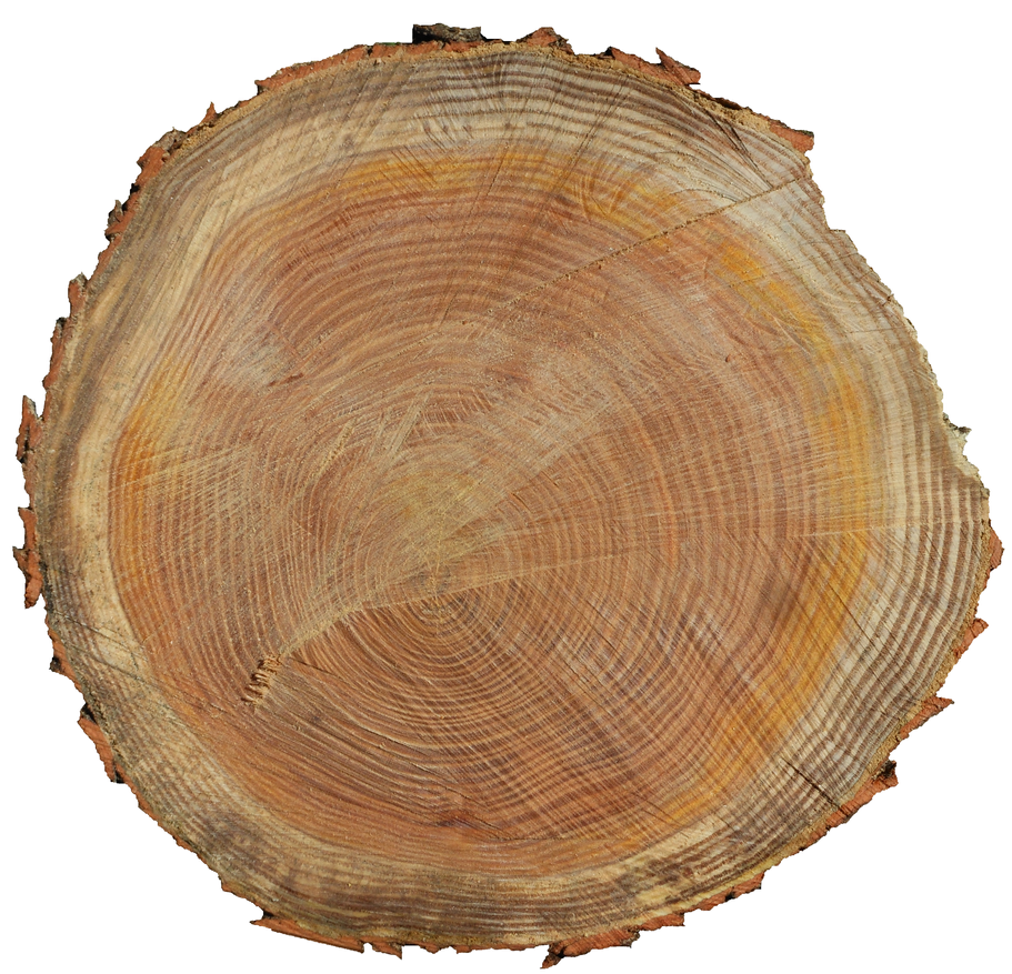 Log End Log End by BrianHanson2nd on DeviantArt