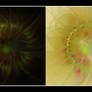 Sunflower Triptych