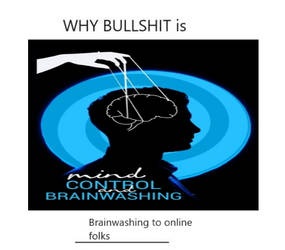 Why Bullshit Brainwash Online Truth