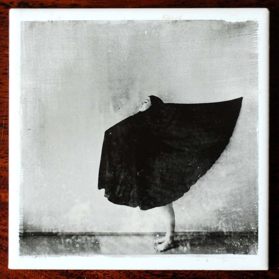 the bird of my room (print) by thesadstork the bird of my room (print) by thesadstork