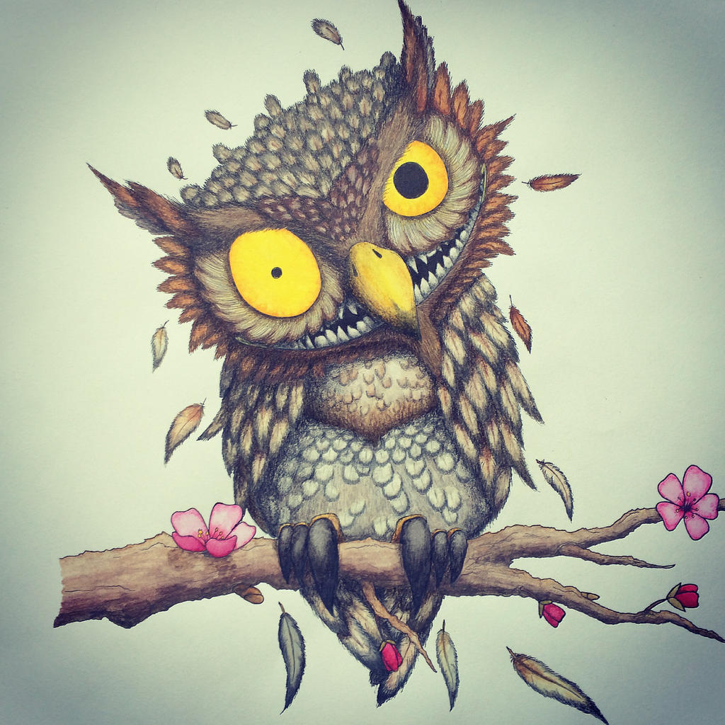 Mad Owl ! by Ade-Darkstone on DeviantArt