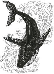Humpbak whale