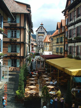 colmar tropicale