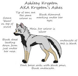 Ashleey Krypton ref sheet