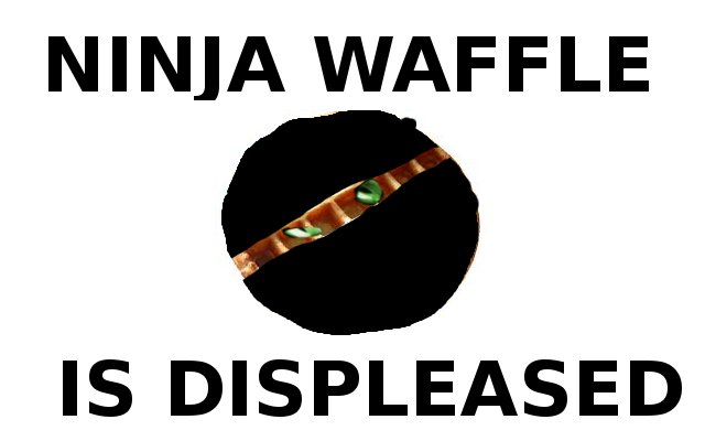 Ninja Waffle Is Displeased