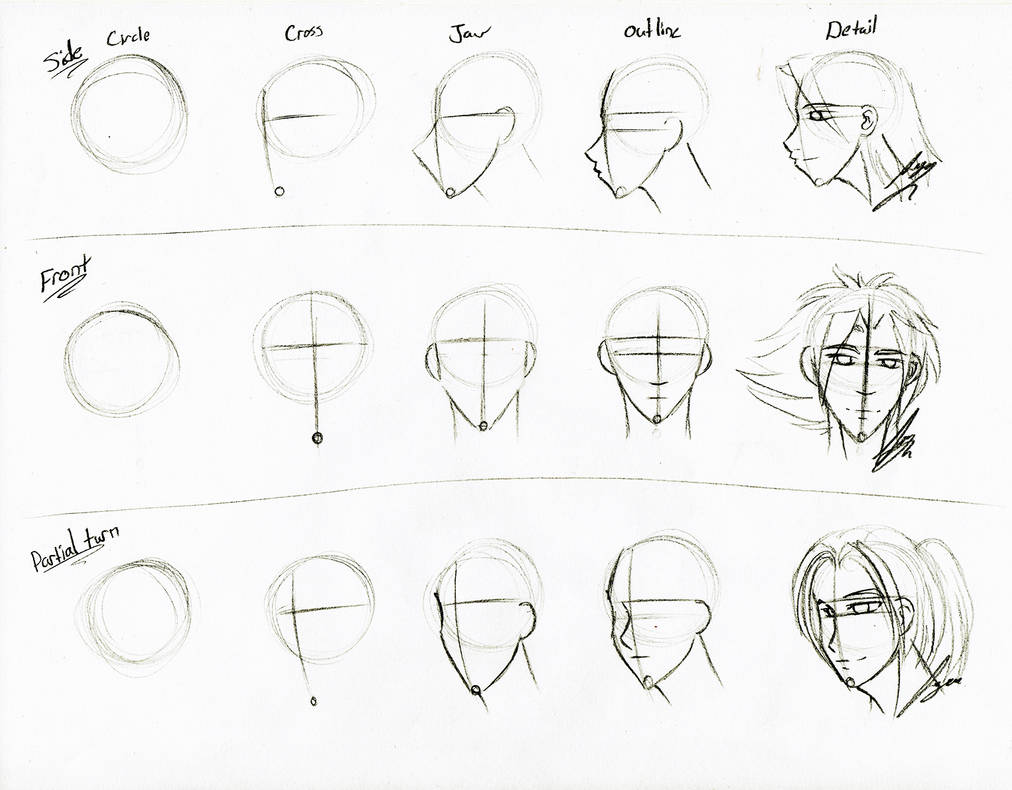 How to Draw a Face from Front View - A step by step tutorial – MuzenikArt