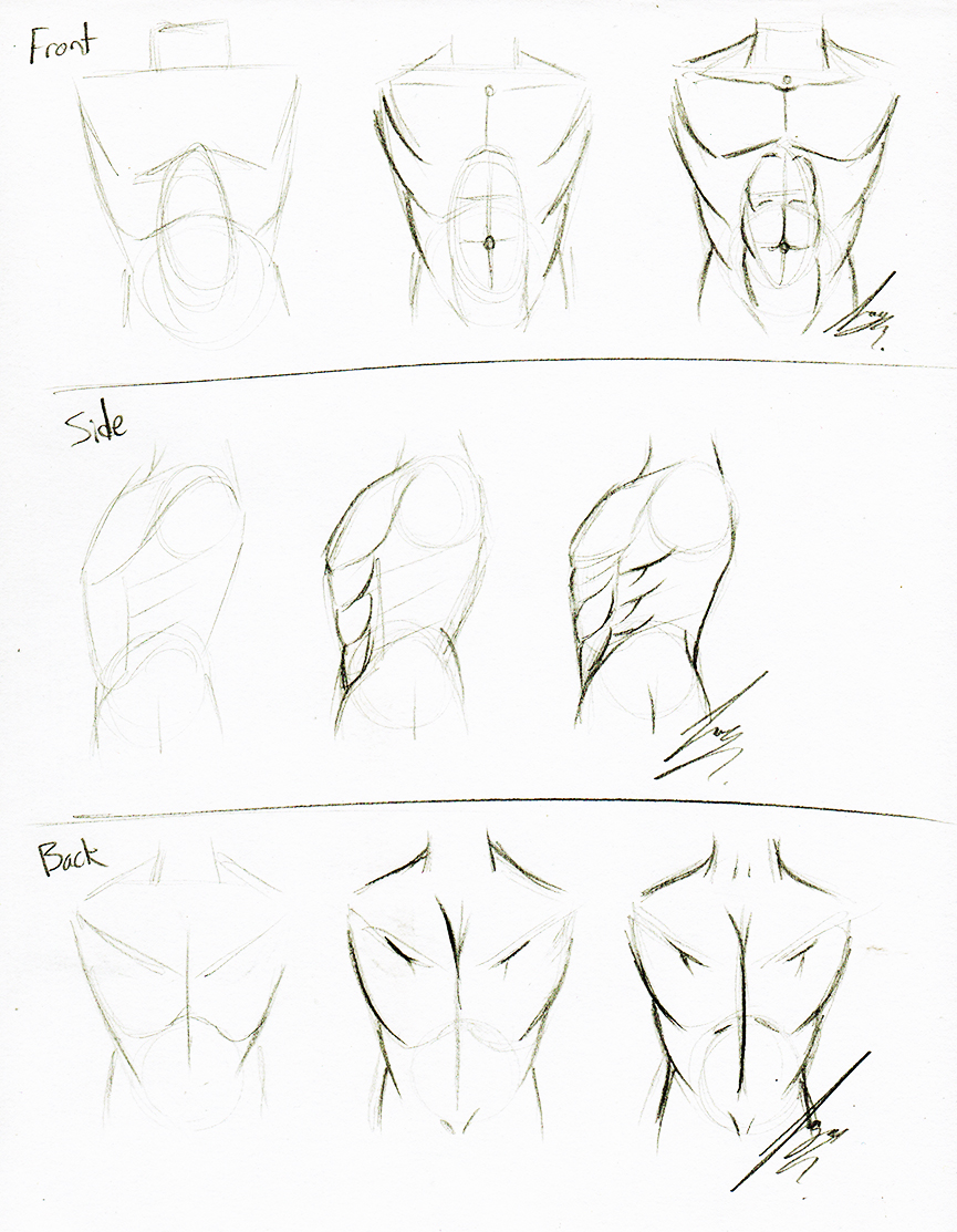 Writhing Torso Torso Tutorial by Juacamo on DeviantArt
