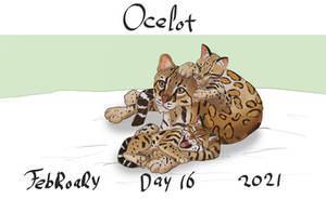 Febroary: day 16 - Ocelot