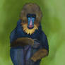 Aperil: Day 9 - Mandrill