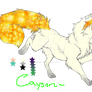 Cayson - New Main Fursona