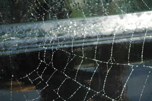 Web II