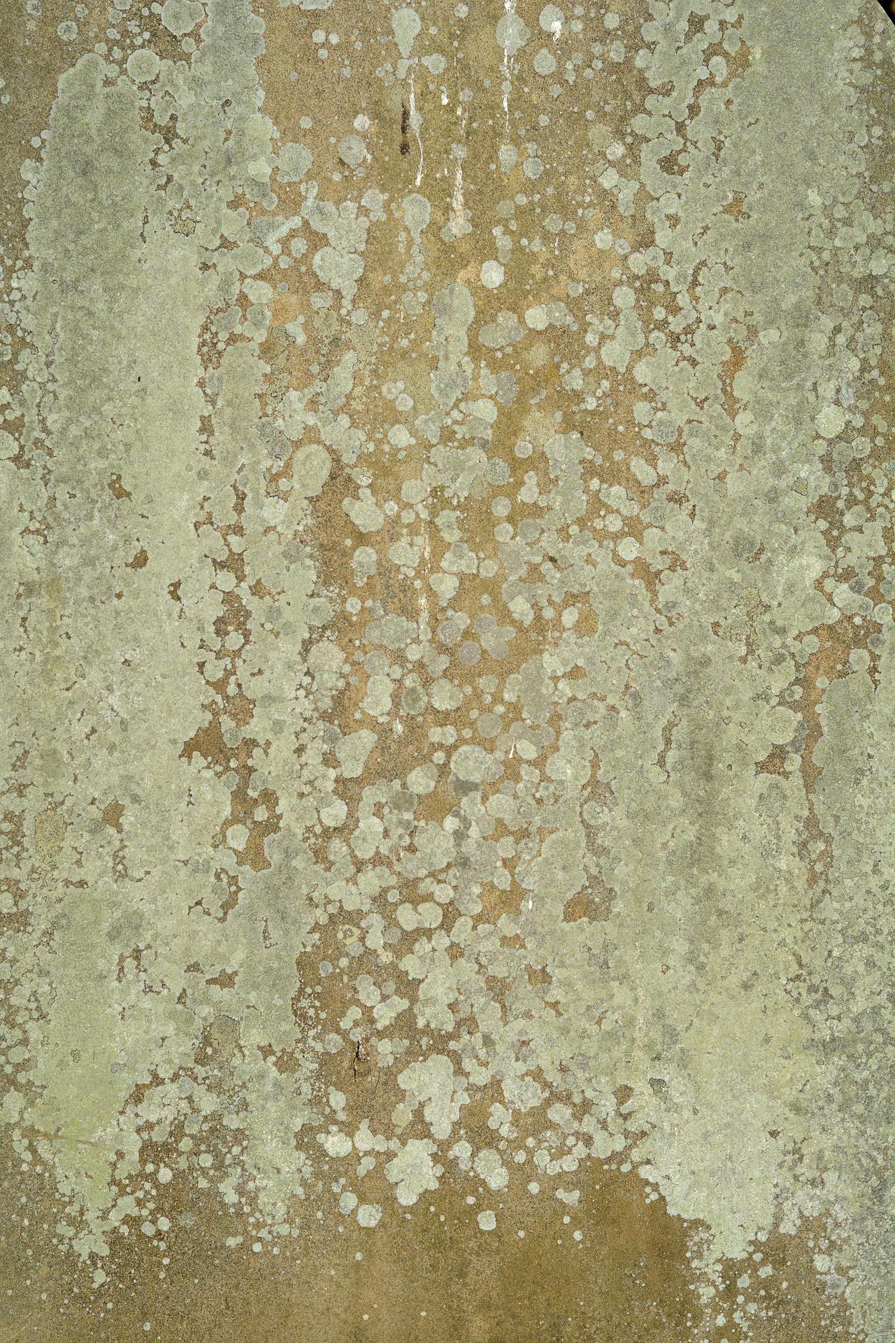 Grave Stone Texture