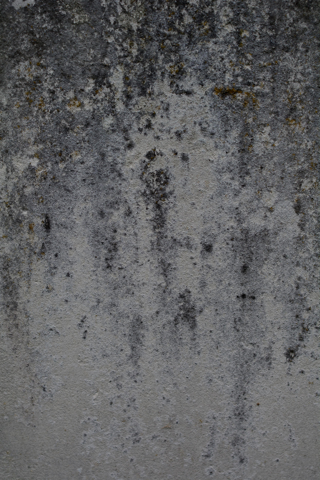 Grave Stone Texture