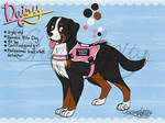 TSS: Daisy