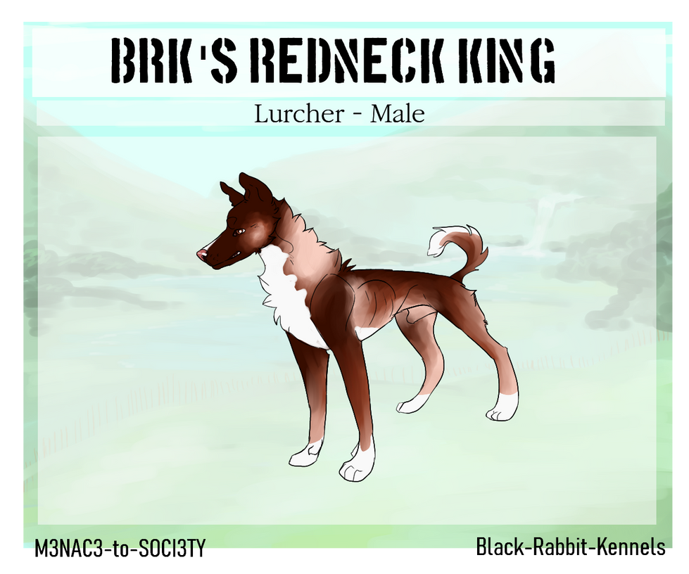 SOLD IPO3 BRK's Redneck King by Black-Rabbit-Kennels on DeviantArt