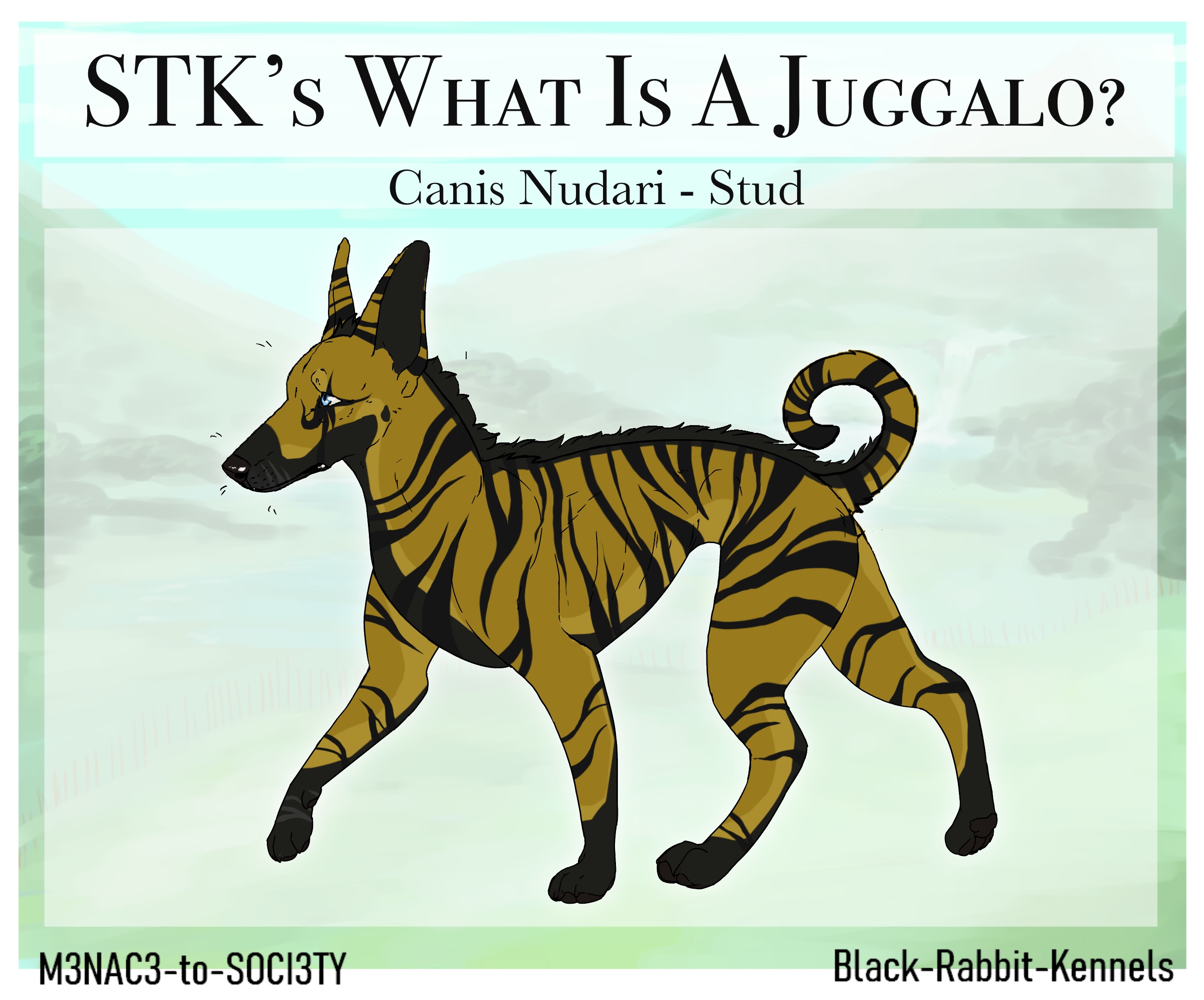 STK's What Is A Juggalo? SGDT by Black-Rabbit-Kennels on DeviantArt