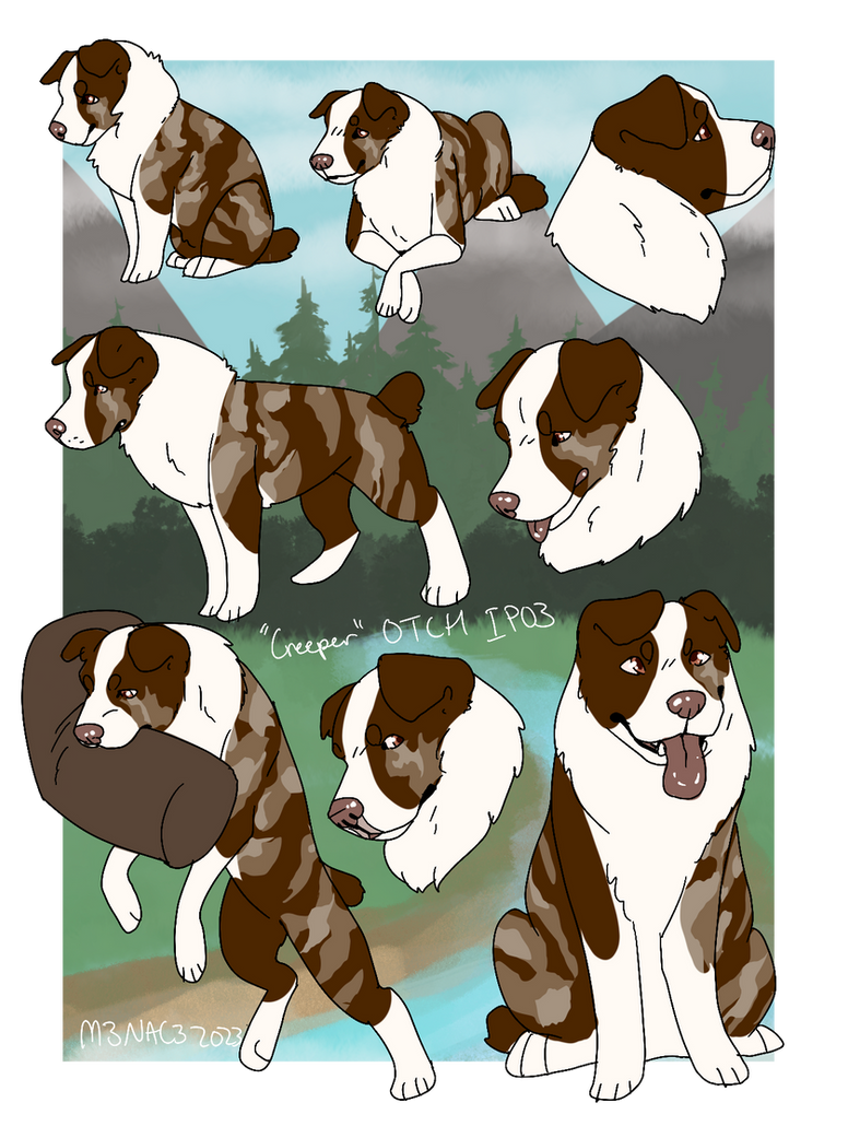 Creeper Rabbit Creeper Obedience IPO Titles by Black-Rabbit-Kennels on DeviantArt