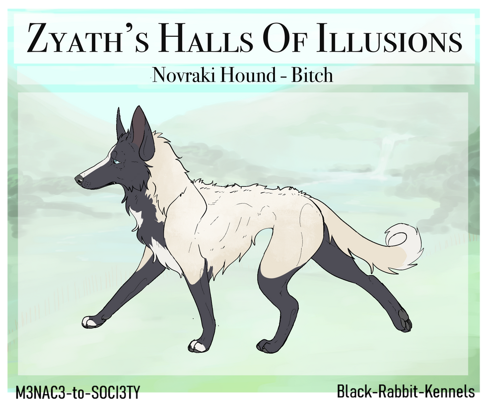 Zyath's Halls of Illusions AD BH MR1 Brevet FCB by Black-Rabbit-Kennels ...