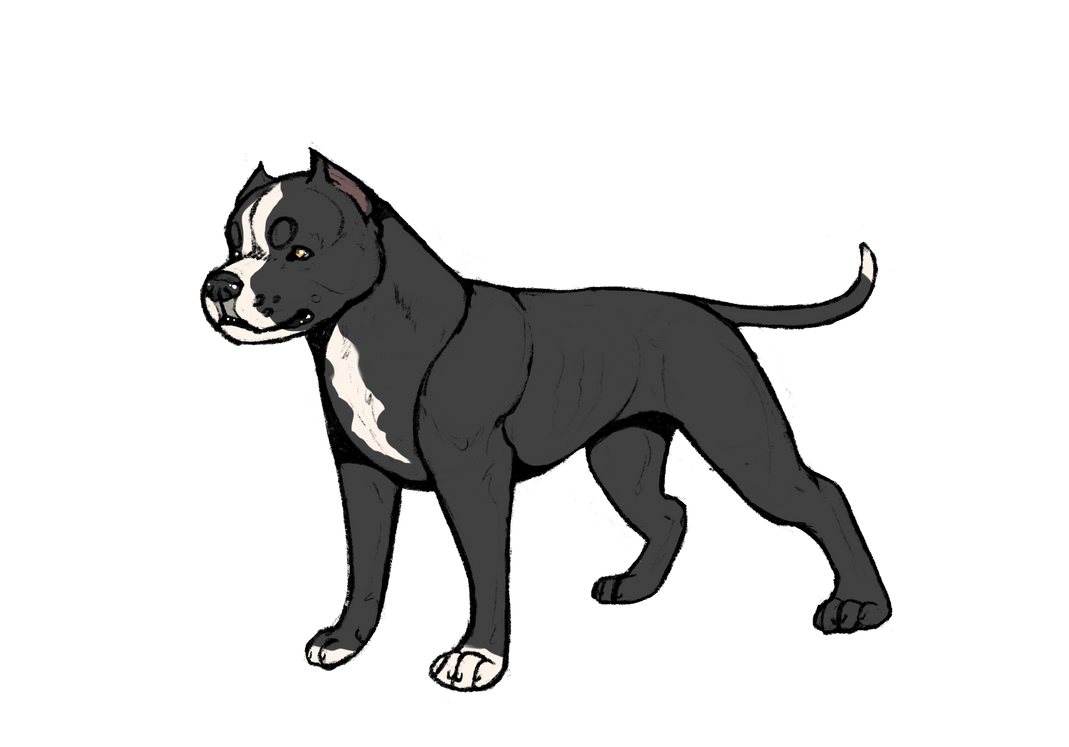 DSK's At War Against Myself BH Brevet PSA1 SPN by Black-Rabbit-Kennels ...