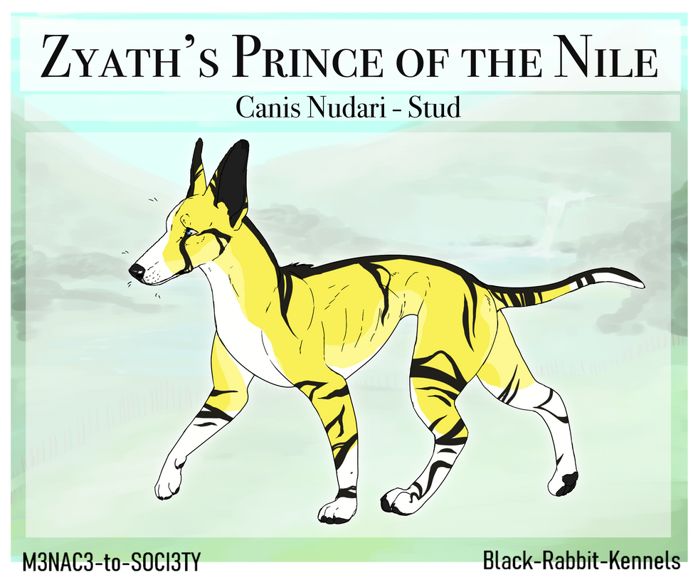 Nile Rabbit Zyath's Prince of the Nile HE by Black-Rabbit-Kennels on DeviantArt