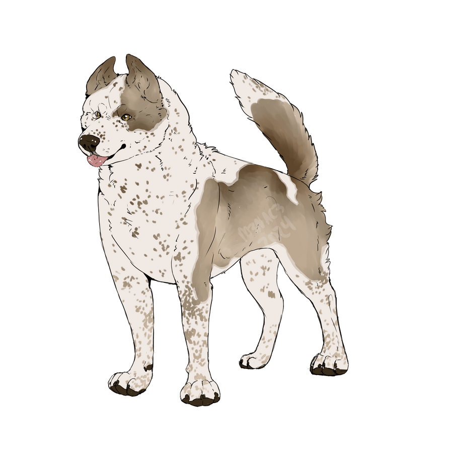 BRK's Going Going Gone BH Brevet by Black-Rabbit-Kennels on DeviantArt