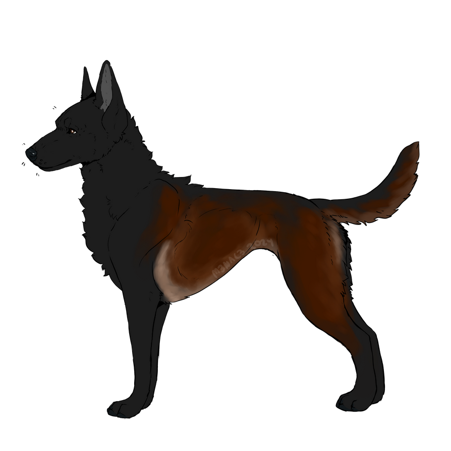 MPA's They Said Hell's Not Hot NF BH Brevet Brevet by Black-Rabbit ...