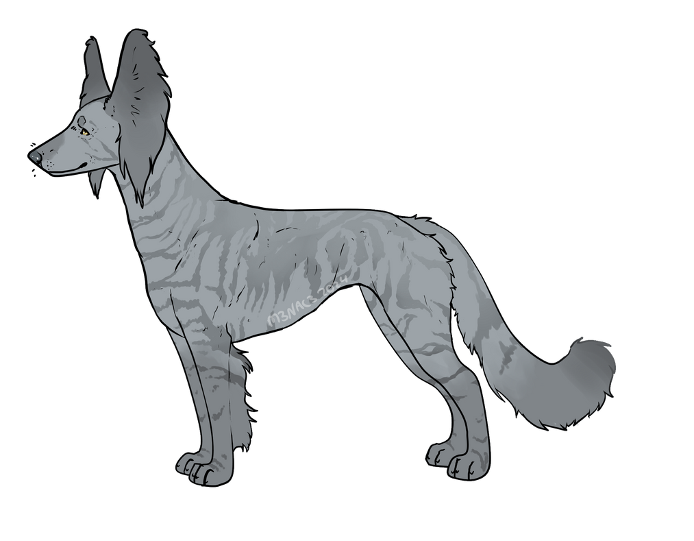 Strutae Striate Power Couple SGDT HH NSD by Black-Rabbit-Kennels on DeviantArt