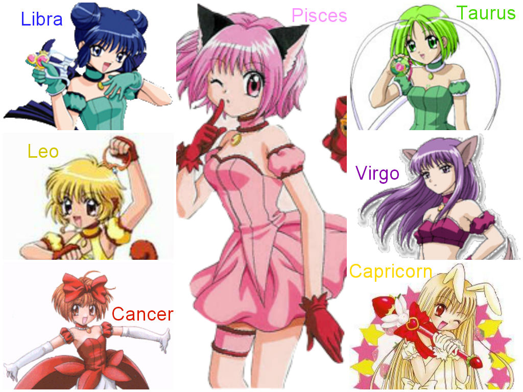 Character Profiles- Tokyo Mew Mew - ~Wedding Mew Mew!~