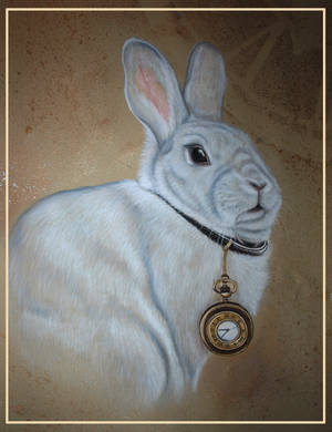 White rabbit by Malina-art