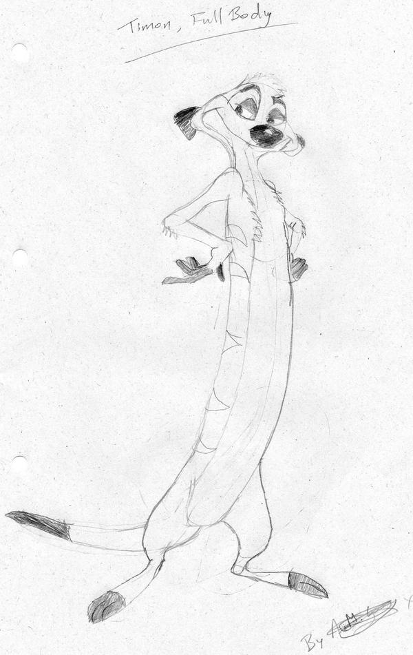 Timon by fizzydizzy on DeviantArt
