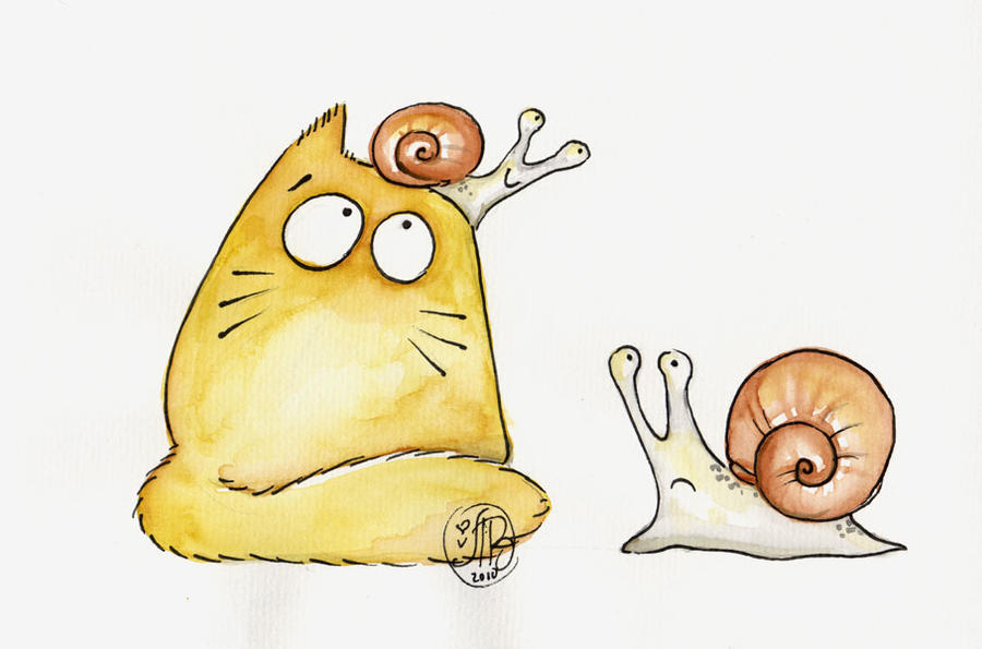 You've got snail