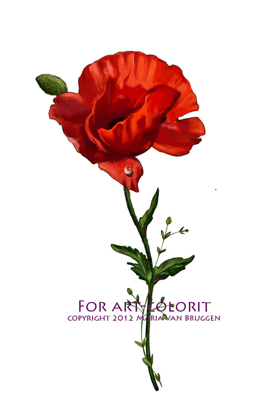 Poppy - decoupage cards