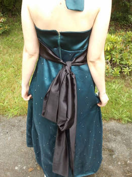 Prom Dress back view 2