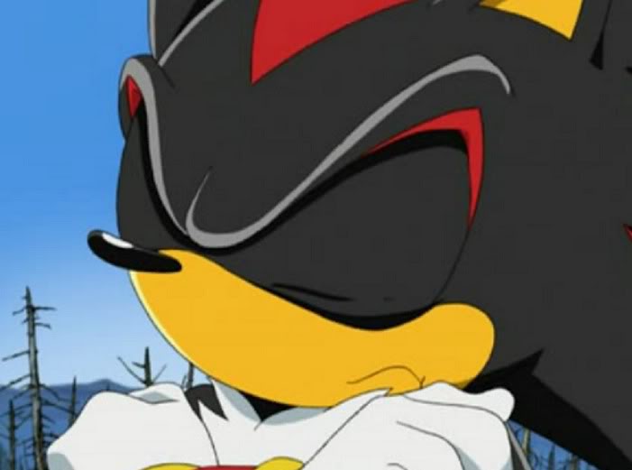 Sonic X Screencaps on Twitter  Shadow the hedgehog, Sonic and shadow, Sonic