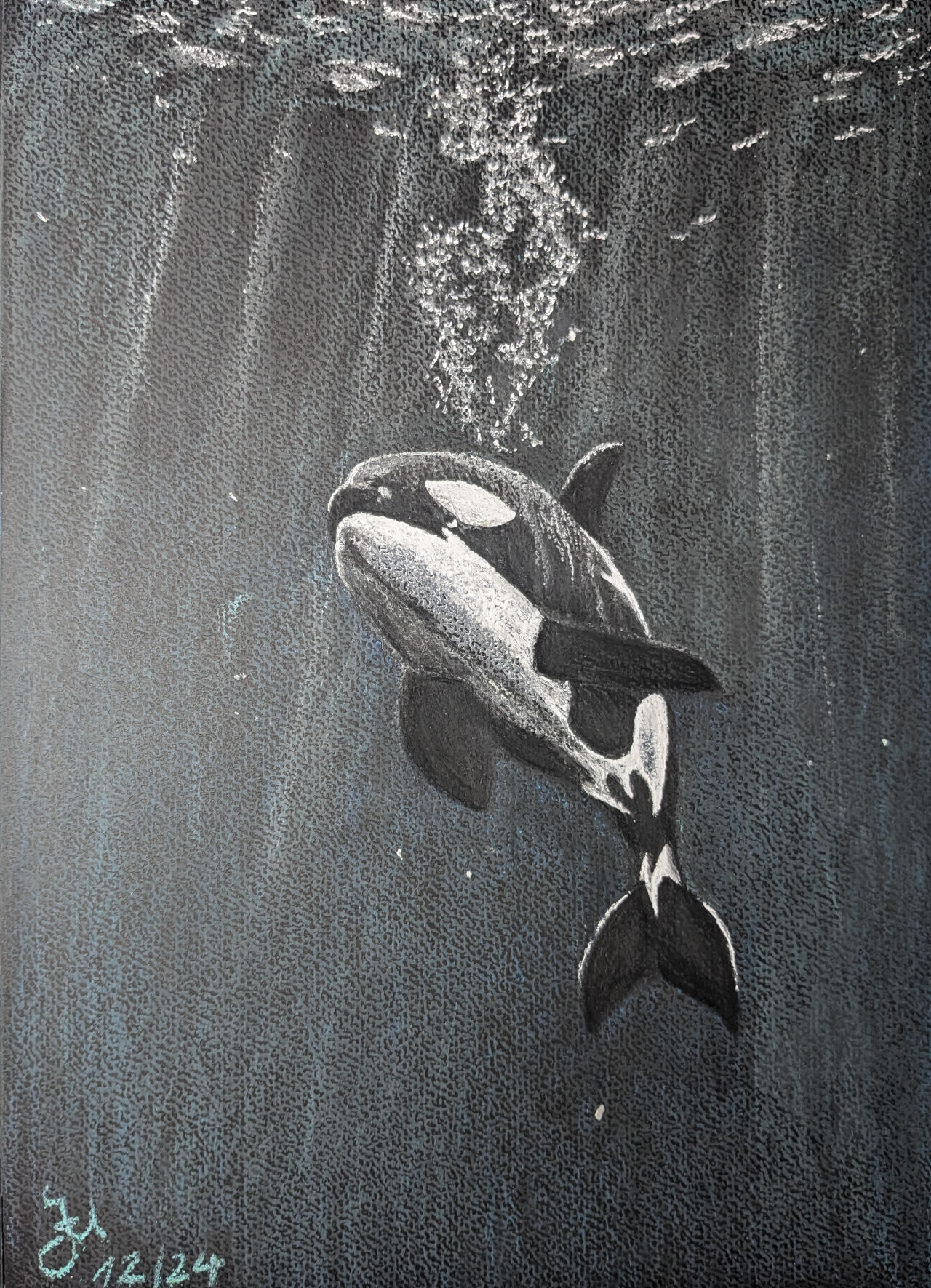 Orca by feuerbalg on DeviantArt