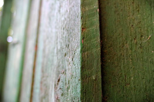 Green wooden plank