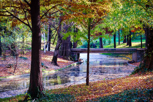 Just a bridge in the park