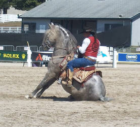 Andalusian Sitting