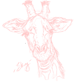 Giraffe sketch