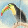 Tucan 2010-08-07