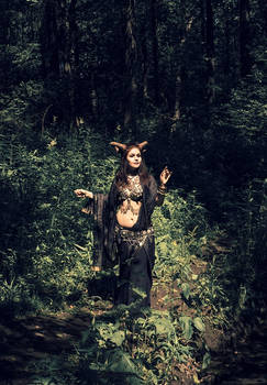 Forest warden 7