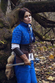 Temerian Blue stripe (Witcher / cosplay)