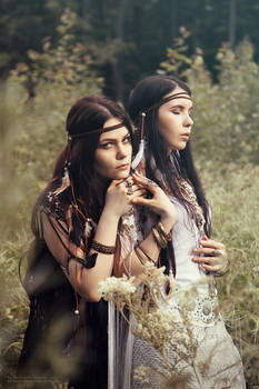 the twins