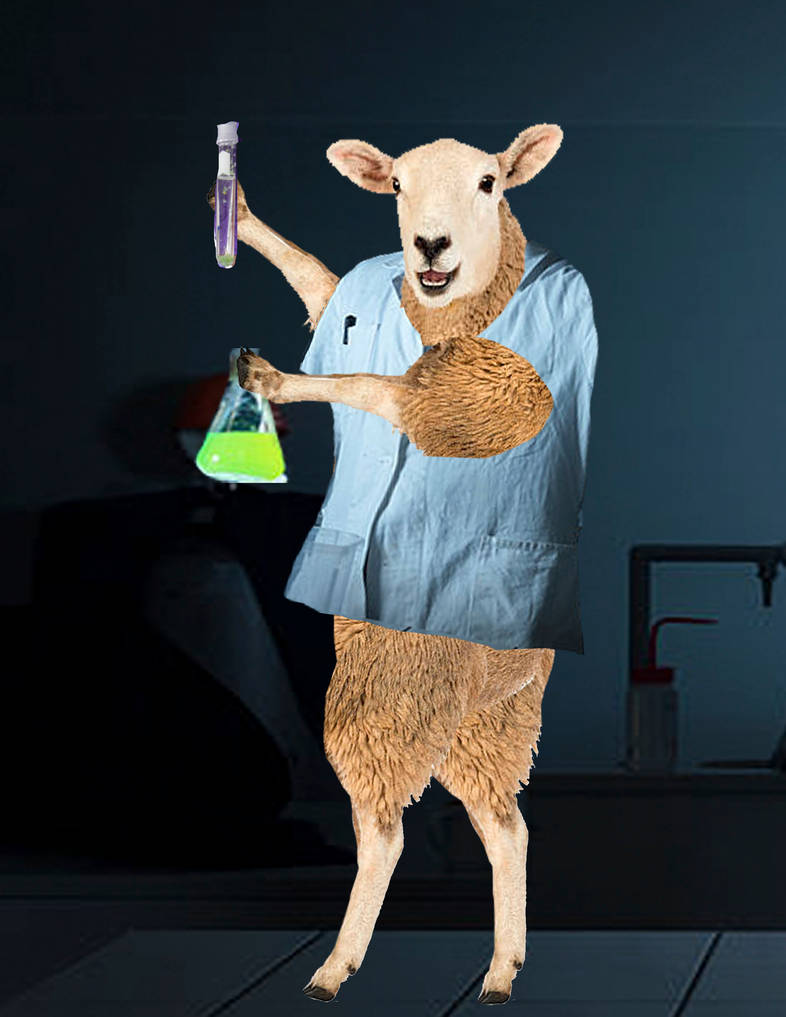 Sheep In Lab scientist sheep by daylover1313 on DeviantArt