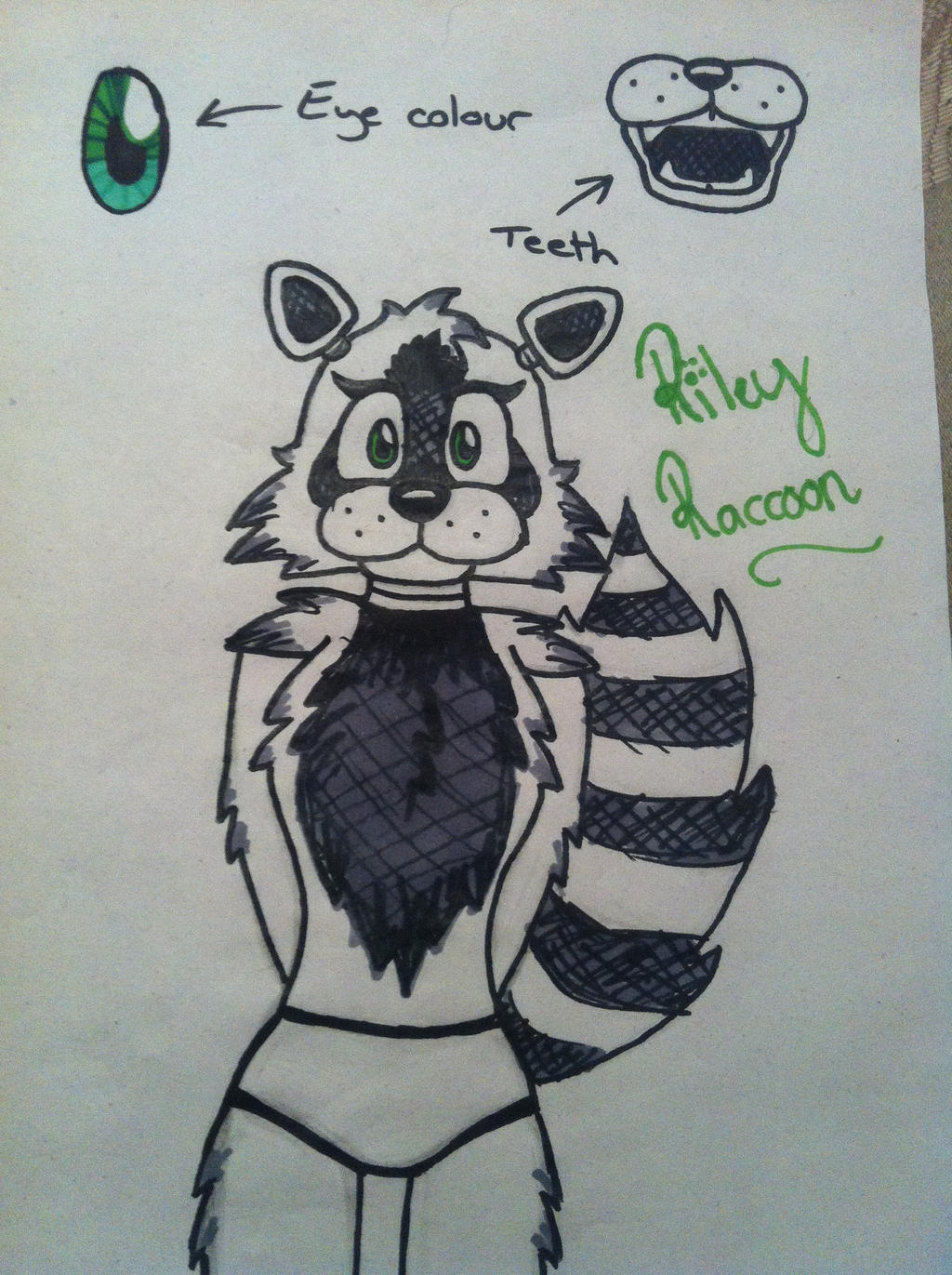 Racoon Riley Riley Raccoon by RileyRaccoon on DeviantArt