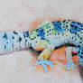 Gecko Stipling